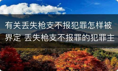 有关丢失枪支不报犯罪怎样被界定 丢失枪支不报罪的犯罪主体只能是什么