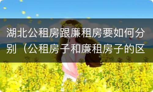 湖北公租房跟廉租房要如何分别（公租房子和廉租房子的区别）