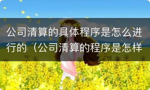 公司清算的具体程序是怎么进行的（公司清算的程序是怎样的）