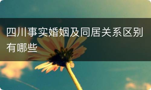 四川事实婚姻及同居关系区别有哪些