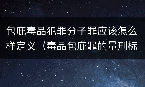 包庇毒品犯罪分子罪应该怎么样定义（毒品包庇罪的量刑标准）