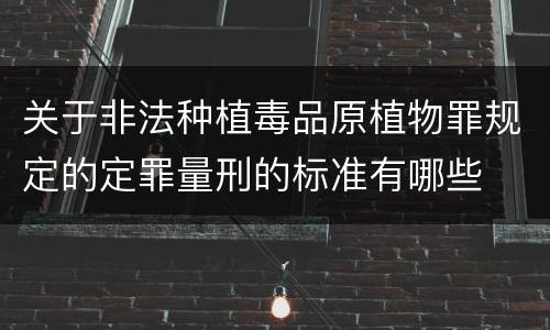 2022专利权跟商标权到底有啥差异(商标权和知识产权的区别)