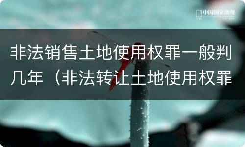 非法销售土地使用权罪一般判几年（非法转让土地使用权罪判几年）