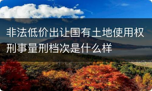 非法低价出让国有土地使用权刑事量刑档次是什么样