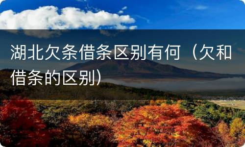 湖北欠条借条区别有何（欠和借条的区别）