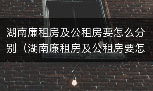 湖南廉租房及公租房要怎么分别（湖南廉租房及公租房要怎么分别申请呢）