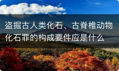 盗掘古人类化石、古脊椎动物化石罪的构成要件应是什么