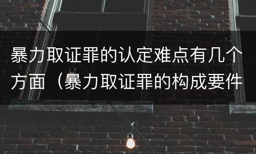 暴力取证罪的认定难点有几个方面（暴力取证罪的构成要件）