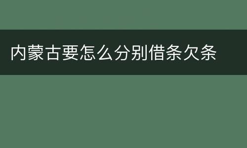 内蒙古要怎么分别借条欠条