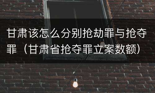 甘肃该怎么分别抢劫罪与抢夺罪（甘肃省抢夺罪立案数额）