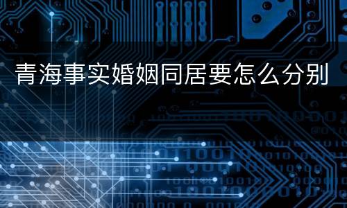 青海事实婚姻同居要怎么分别