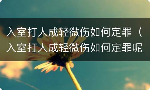 入室打人成轻微伤如何定罪（入室打人成轻微伤如何定罪呢）
