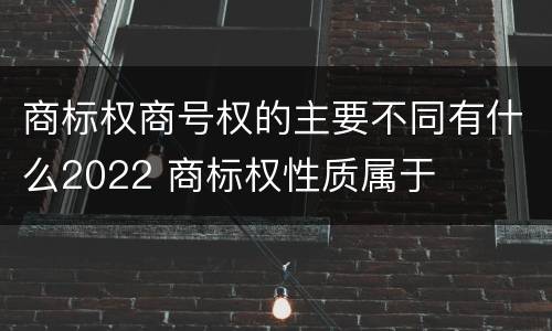 商标权商号权的主要不同有什么2022 商标权性质属于