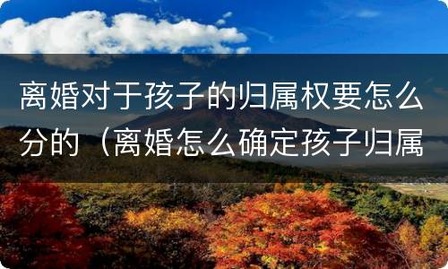 离婚对于孩子的归属权要怎么分的（离婚怎么确定孩子归属权）