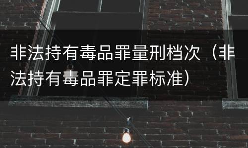 非法持有毒品罪量刑档次（非法持有毒品罪定罪标准）