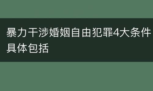 暴力干涉婚姻自由犯罪4大条件具体包括