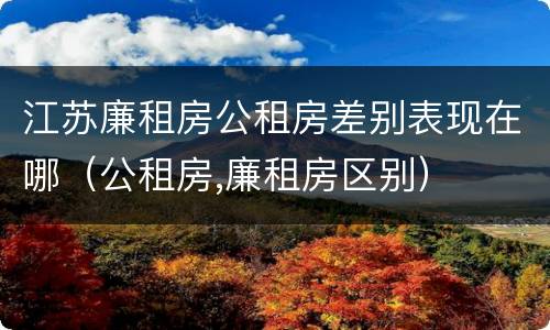 江苏廉租房公租房差别表现在哪（公租房,廉租房区别）