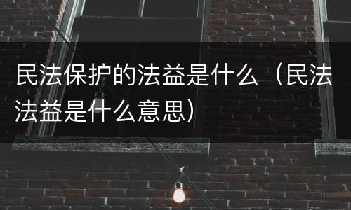 民法保护的法益是什么（民法法益是什么意思）