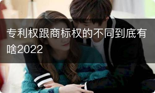 专利权跟商标权的不同到底有啥2022