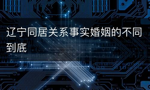 辽宁同居关系事实婚姻的不同到底