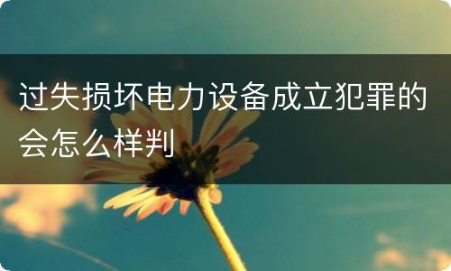 过失损坏电力设备成立犯罪的会怎么样判