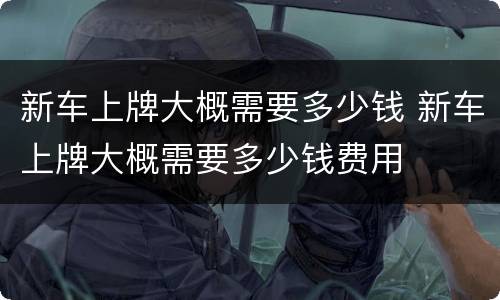 新车上牌大概需要多少钱 新车上牌大概需要多少钱费用