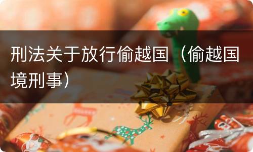 刑法关于放行偷越国（偷越国境刑事）
