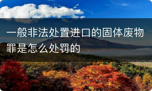 一般非法处置进口的固体废物罪是怎么处罚的