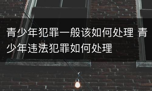 青少年犯罪一般该如何处理 青少年违法犯罪如何处理