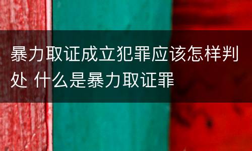 暴力取证成立犯罪应该怎样判处 什么是暴力取证罪