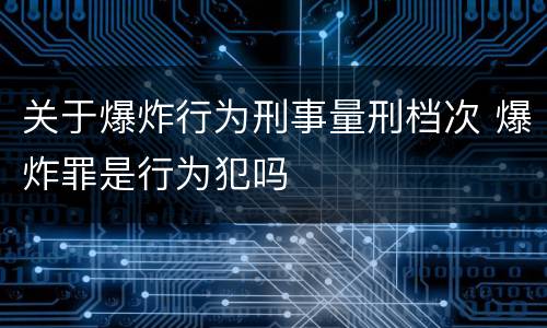 关于爆炸行为刑事量刑档次 爆炸罪是行为犯吗
