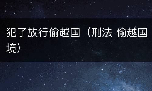 犯了放行偷越国（刑法 偷越国境）