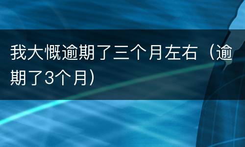 我大慨逾期了三个月左右（逾期了3个月）