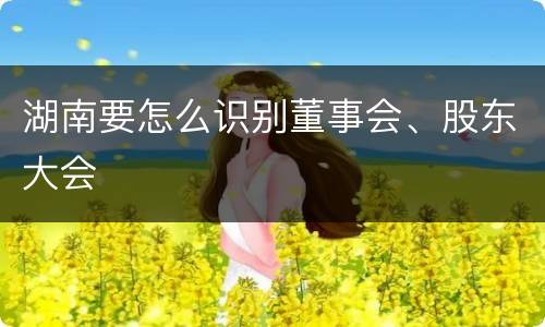 湖南要怎么识别董事会、股东大会