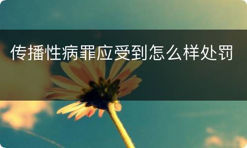 传播性病罪应受到怎么样处罚