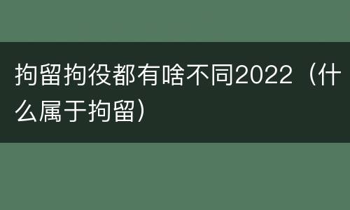 拘留拘役都有啥不同2022(什么属于拘留)