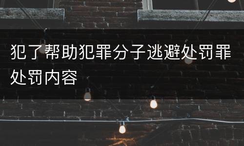 犯了帮助犯罪分子逃避处罚罪处罚内容