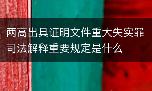 两高出具证明文件重大失实罪司法解释重要规定是什么