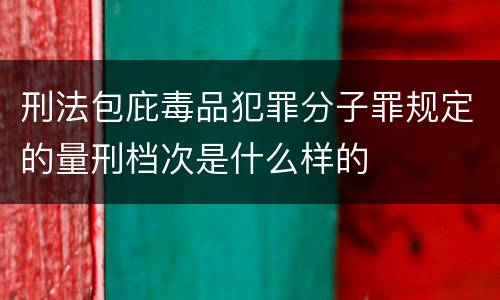 刑法包庇毒品犯罪分子罪规定的量刑档次是什么样的
