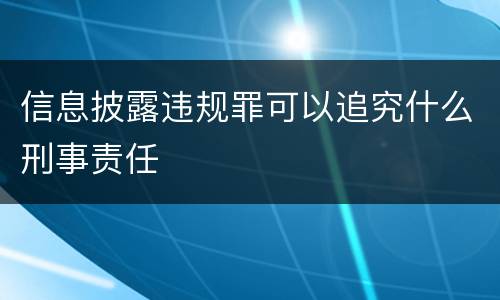 信息披露违规罪可以追究什么刑事责任