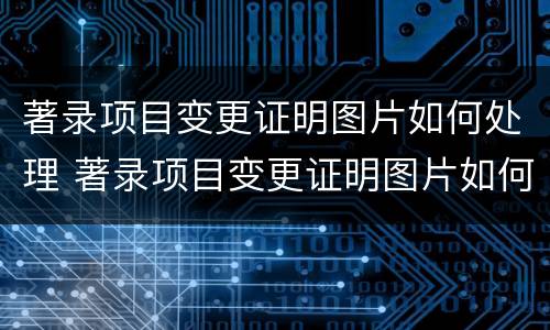 著录项目变更证明图片如何处理 著录项目变更证明图片如何处理掉