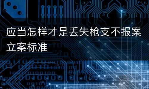 应当怎样才是丢失枪支不报案立案标准