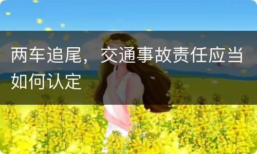 两车追尾，交通事故责任应当如何认定