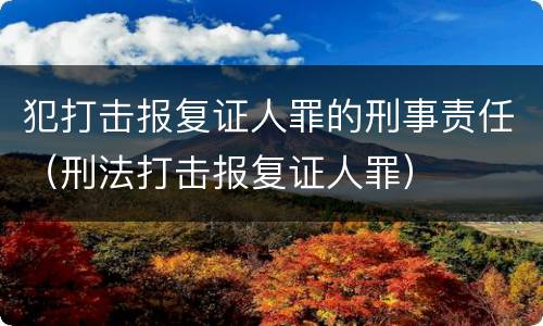 犯打击报复证人罪的刑事责任（刑法打击报复证人罪）