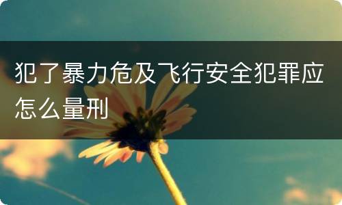 犯了暴力危及飞行安全犯罪应怎么量刑