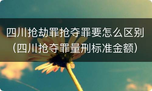 四川抢劫罪抢夺罪要怎么区别（四川抢夺罪量刑标准金额）