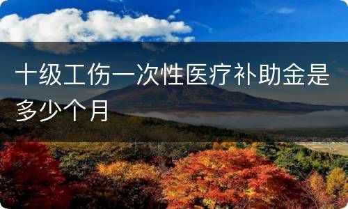 十级工伤一次性医疗补助金是多少个月