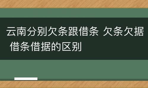 云南分别欠条跟借条 欠条欠据 借条借据的区别