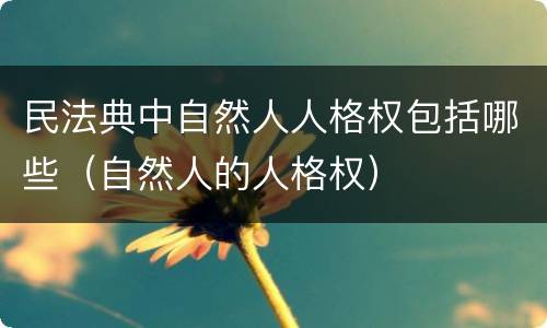 民法典中自然人人格权包括哪些（自然人的人格权）