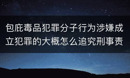 包庇毒品犯罪分子行为涉嫌成立犯罪的大概怎么追究刑事责任